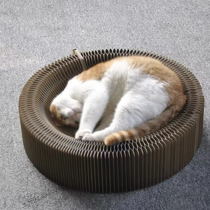 Zauberhaftes Kratz- Und Spielbett Für Katzen