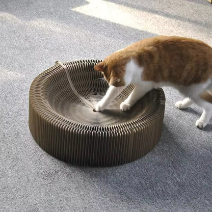 Zauberhaftes Kratz- Und Spielbett Für Katzen