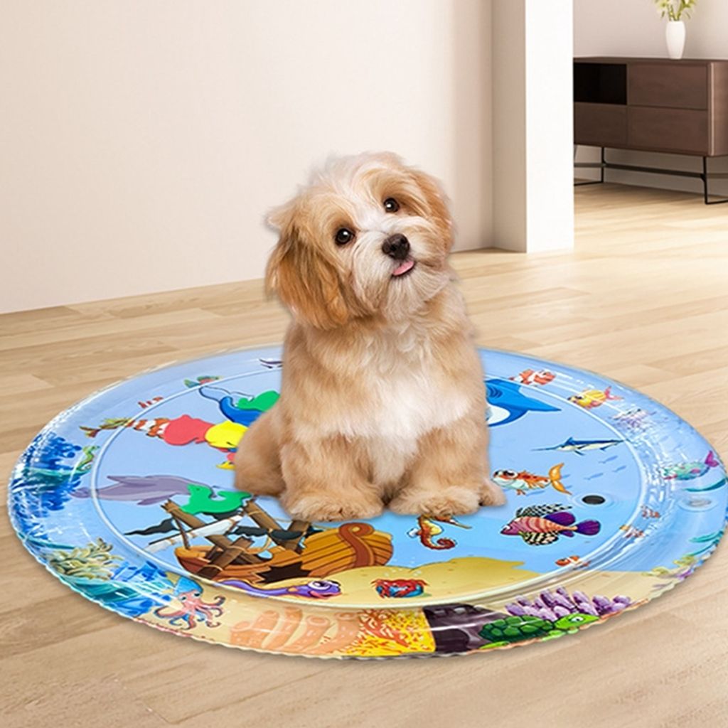 Kühl- und Wasserspielmatte für Hunde
