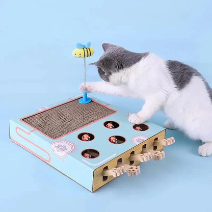 Multifunktionale Spielbox für Katzen