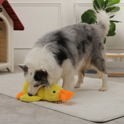 Stressfreie Ente - Kuschelpartner für deinen Hund