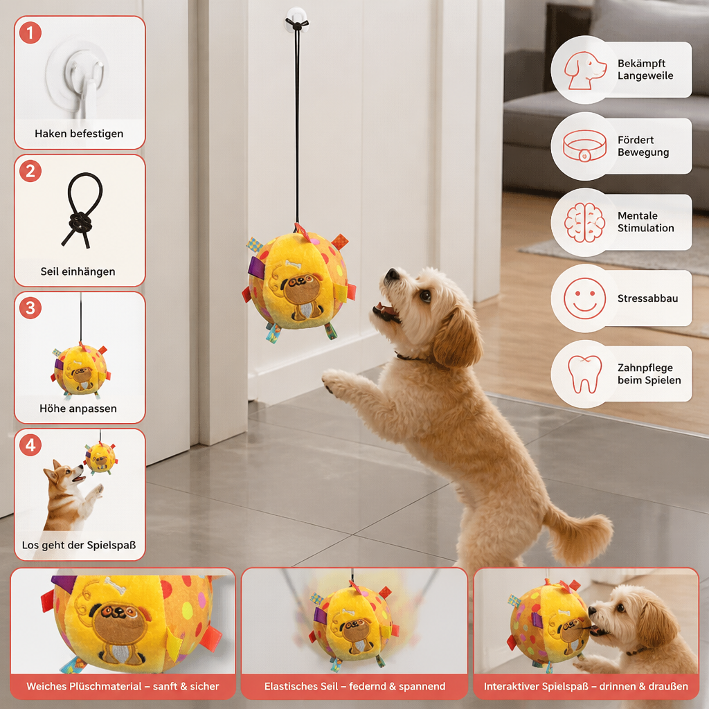 Interaktives hängendes Hundespielzeug mit elastischem Spielseil und Haken