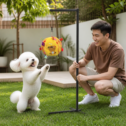 Interaktives hängendes Hundespielzeug mit elastischem Spielseil und Haken