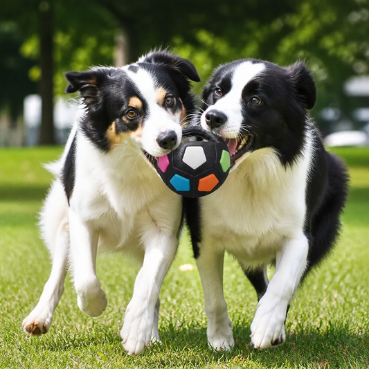 Robuster Spielzeug Ball zum Stressabbau für Hunde