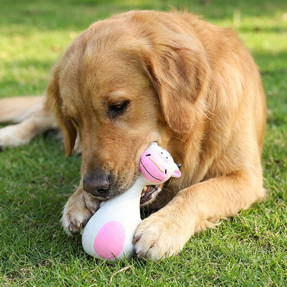 Robustes, umweltfreundliches Latex-Hundespielzeug mit Quietscher & Zahnpflege
