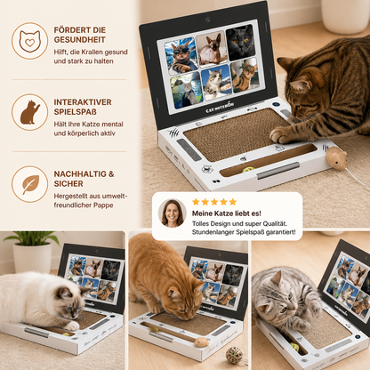 Laptop-Katzenkratzer aus Pappe & interaktives Spielzeug
