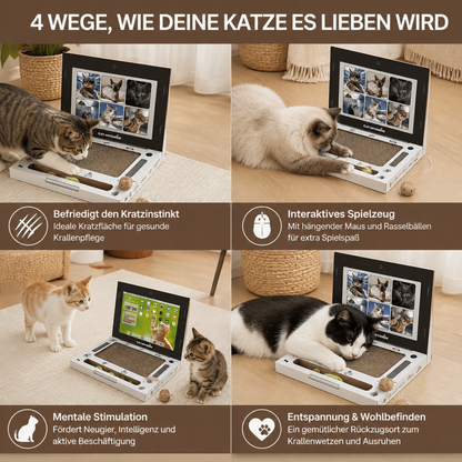Laptop-Katzenkratzer aus Pappe & interaktives Spielzeug
