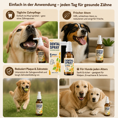 Zahnpflege-Spray gegen Zahnstein für Hunde – Hilft, Plaque zu reduzieren & den Atem zu erfrischen
