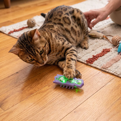 Interaktives Elektrisches Käfer Katzenspielzeug mit LED Licht und Automatischer Bewegung