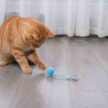 Verbesserter „Smart Rolling Cat Ball“ – strapazierfähiges interaktives Spielzeug mit Netzschwanz