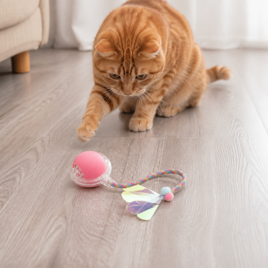 Verbesserter „Smart Rolling Cat Ball“ – strapazierfähiges interaktives Spielzeug mit Netzschwanz