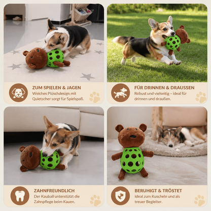 2-in-1-Bären-Hundespielzeug – Quietschendes Plüschtier & Zahnpflege-Kauspielball