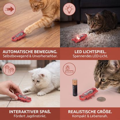 Interaktives Elektrisches Käfer Katzenspielzeug mit LED Licht und Automatischer Bewegung