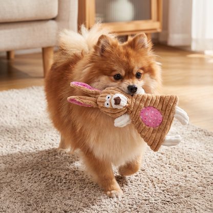 Robustes, füllungsfreies Knister- und Quietsch-Hundespielzeug