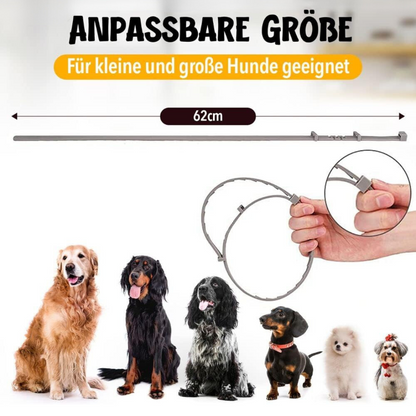 ProtectoPet - Floh- und Zeckenschutz Halsband