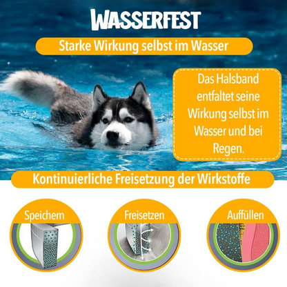 ProtectoPet - Floh- und Zeckenschutz Halsband