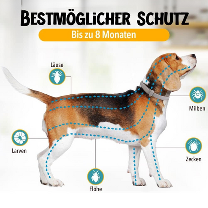 ProtectoPet - Floh- und Zeckenschutz Halsband