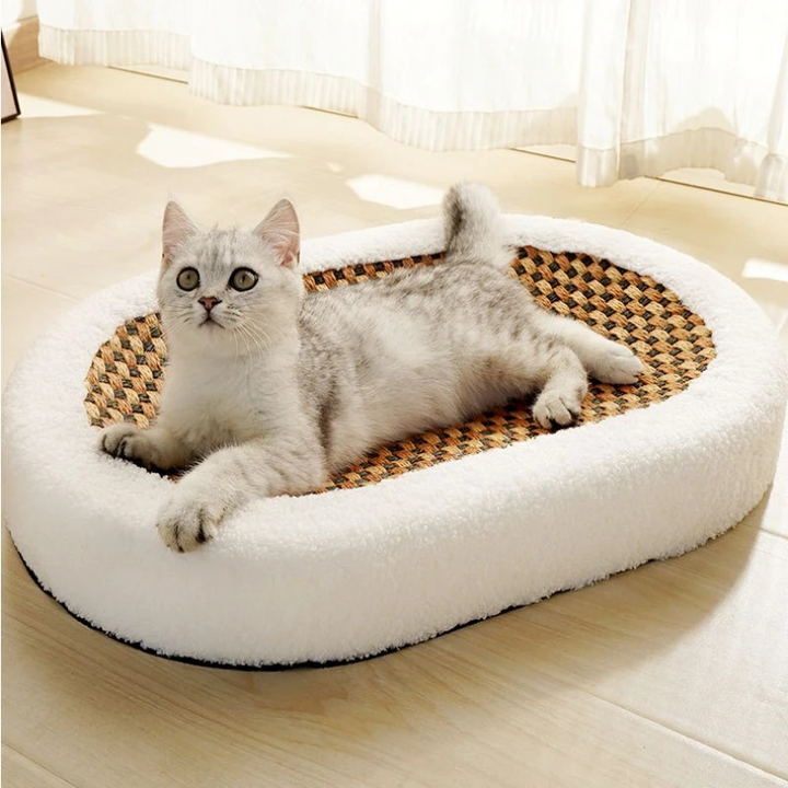 Premium Kratzbett für Katzen