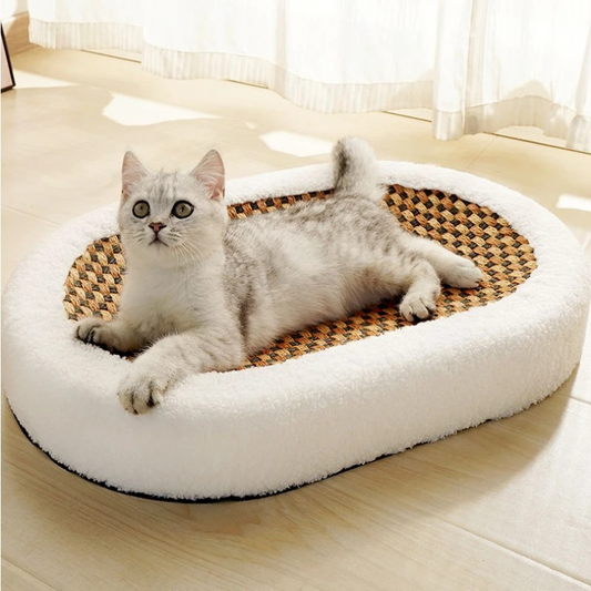 Premium Kratzbett für Katzen