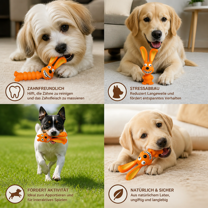 Robustes Hundekauspielzeug aus Naturlatex zur Zahnreinigung