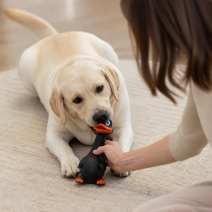 Robustes Hundekauspielzeug aus Naturlatex zur Zahnreinigung