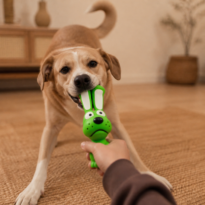 Robustes Hundekauspielzeug aus Naturlatex zur Zahnreinigung