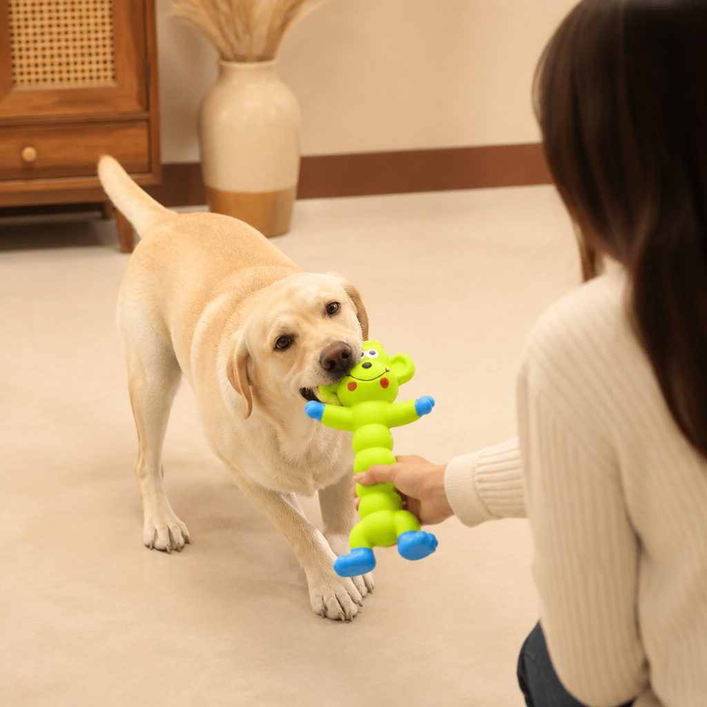 Robustes Hundekauspielzeug aus Naturlatex zur Zahnreinigung