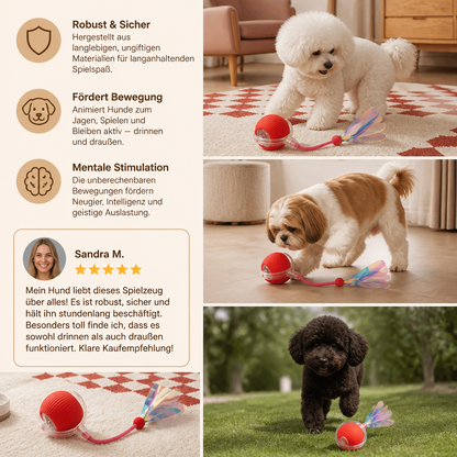 Verbesserter „Smart Rolling Dog Ball“ – strapazierfähiges interaktives Spielzeug mit Netzschwanz