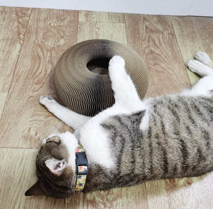Katzenkratzspielzeug Mit Integriertem Ball