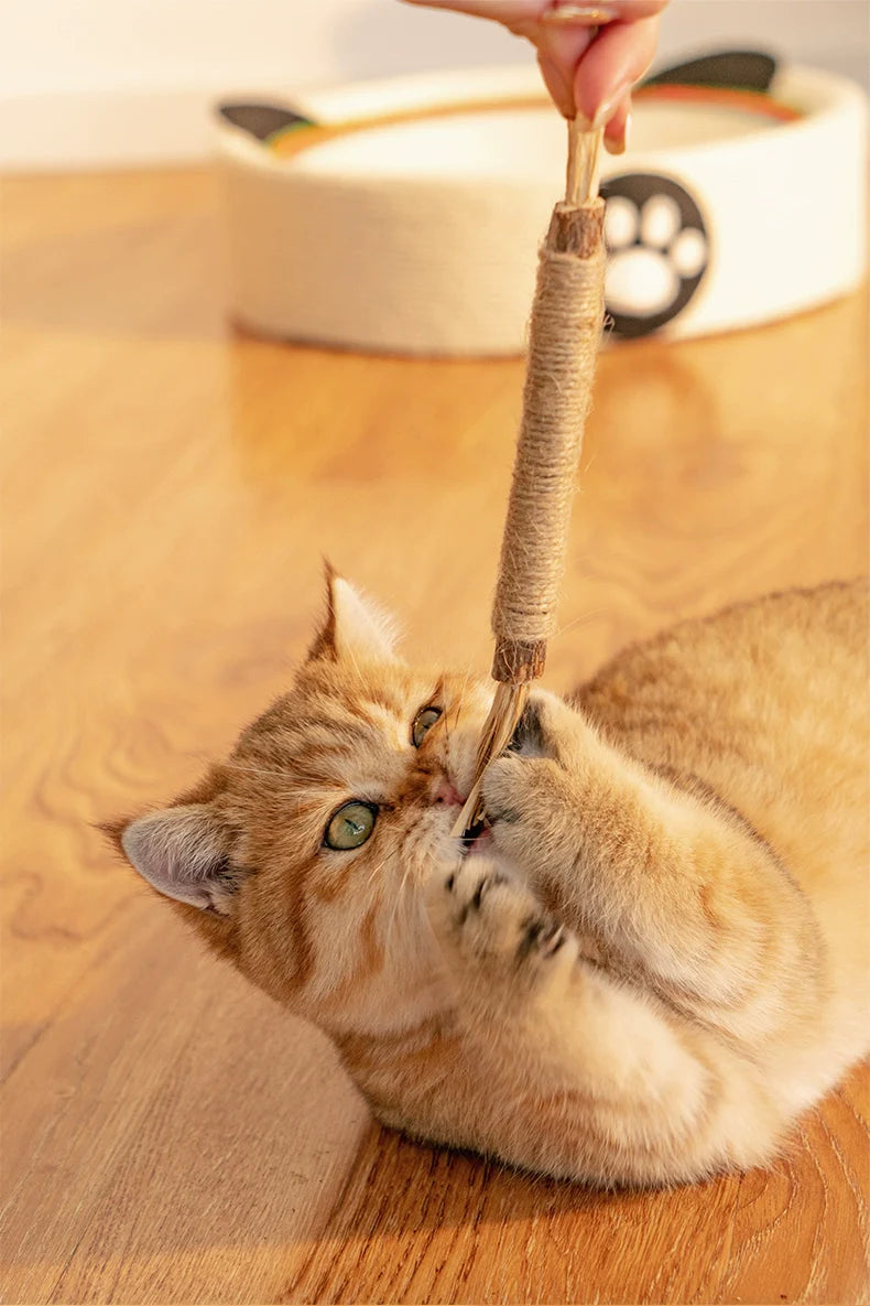 Zahnreinigungsstäbchen für Katzen