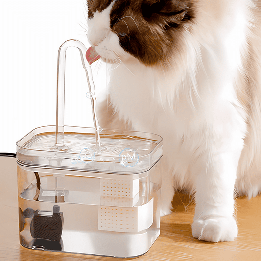 Premium Haustier Trinkbrunnen für Frisches und Gesundes Wasser