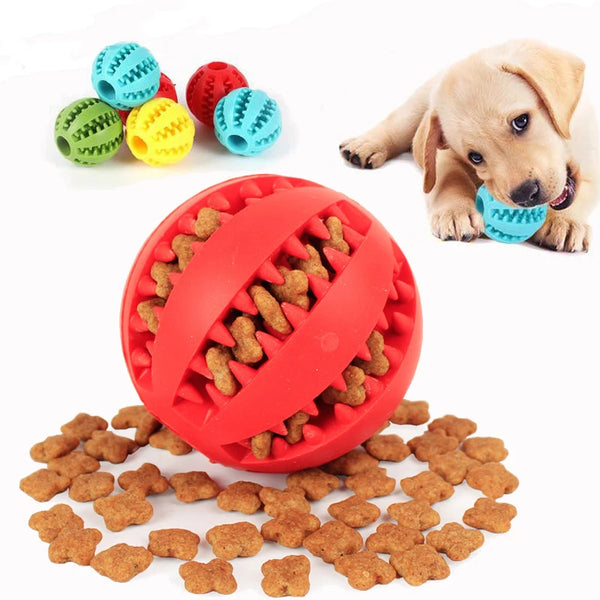 Interaktiver Zahnreinigungsball für Hunde
