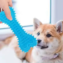 Kauspielzeug Für Hunde – Robuster Beißknochen Mit Noppen