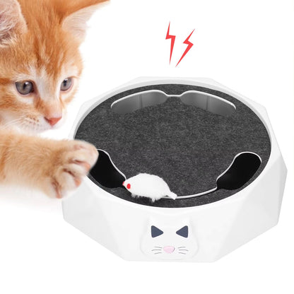 Bewegliche Maus Im Interaktiven Katzenspielzeug