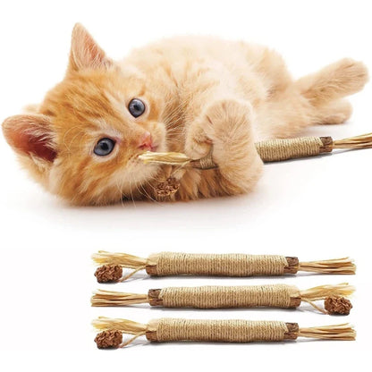 Zahnreinigungsstäbchen für Katzen