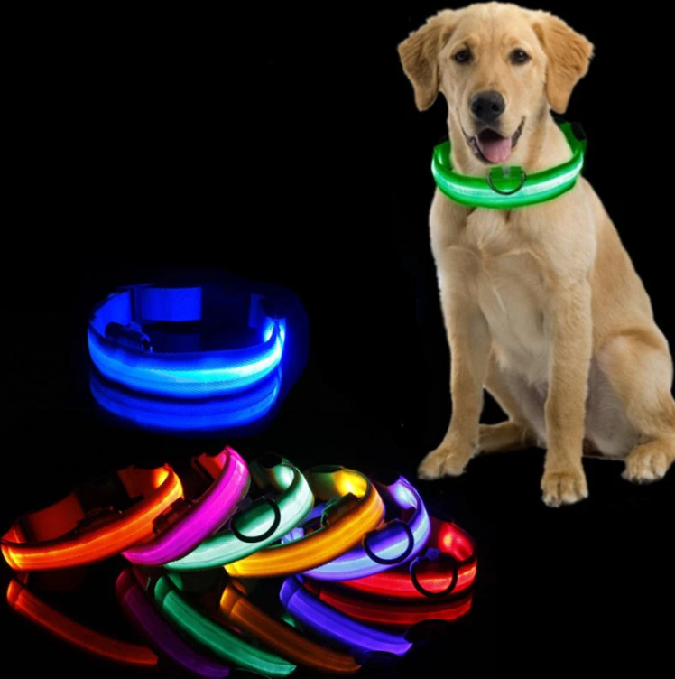LED-Leuchthalsband für Hunde