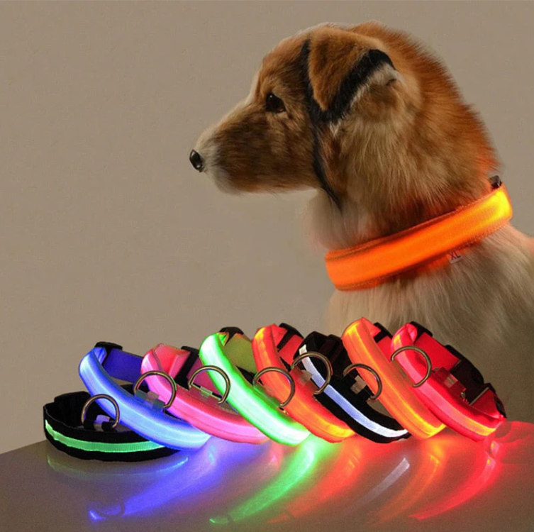 LED-Leuchthalsband für Hunde