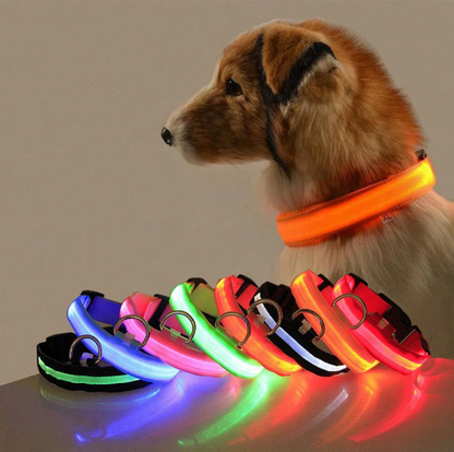 LED-Leuchthalsband für Hunde