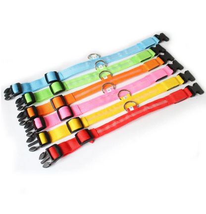 LED-Leuchthalsband für Hunde