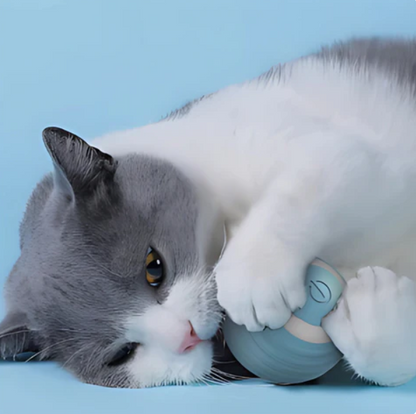 Federball Für Katzen – Springender Spielspaß
