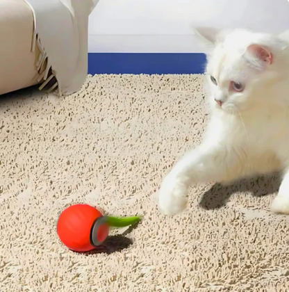 Federball Für Katzen – Springender Spielspaß