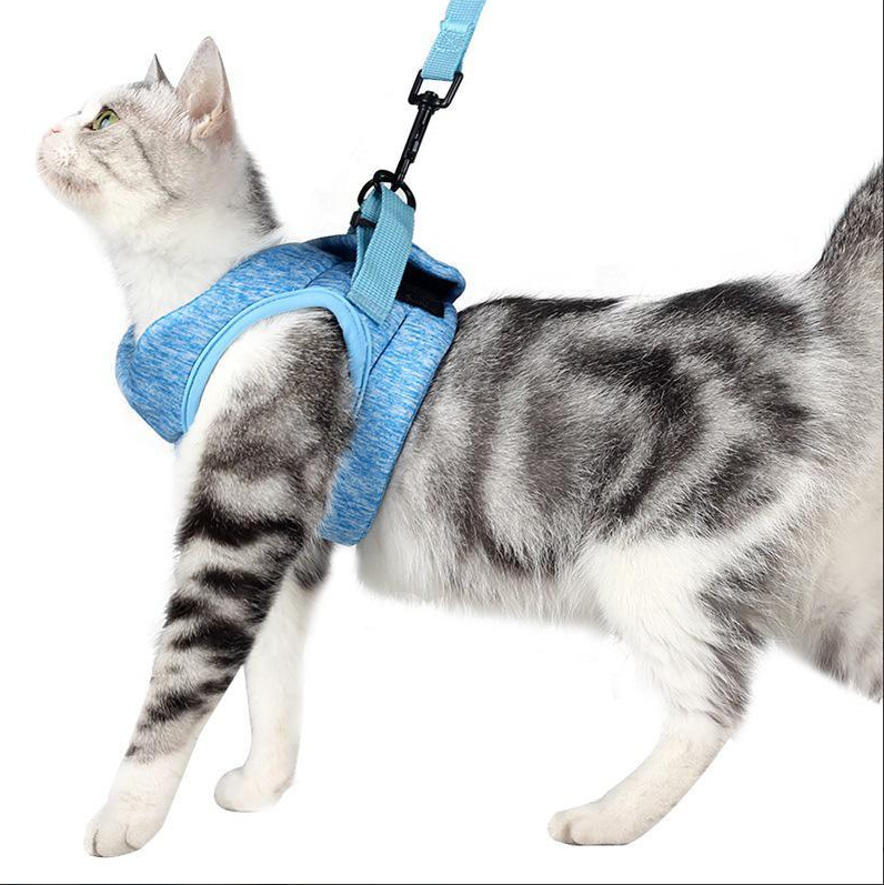 Katzen-Geschirr mit Leine