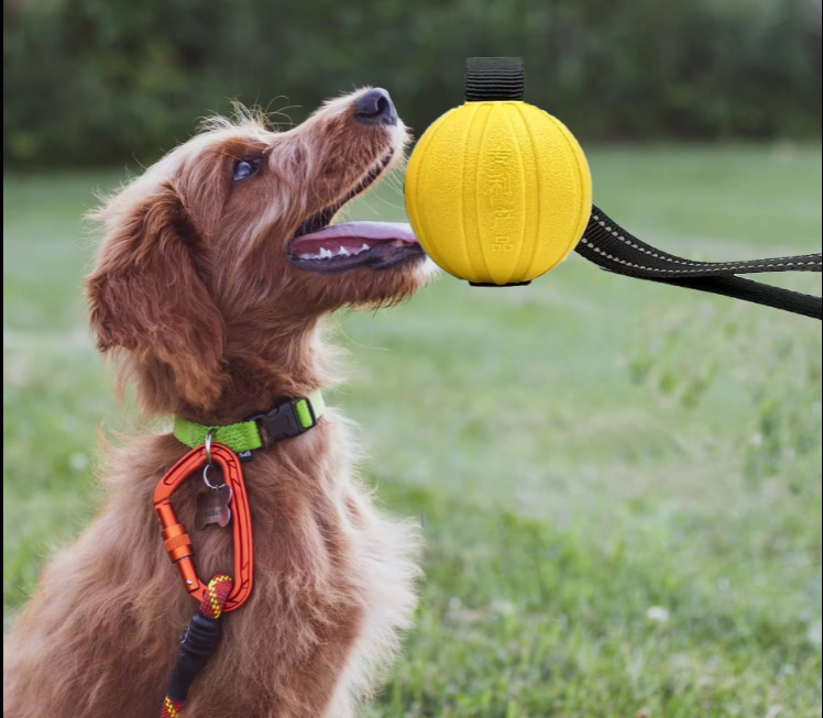 Interaktives Beiß-Trainingsspielzeug Für Hunde – Robuster Zerrball