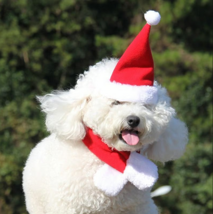 Weihnachtsmütze Mit Schal Für Haustiere