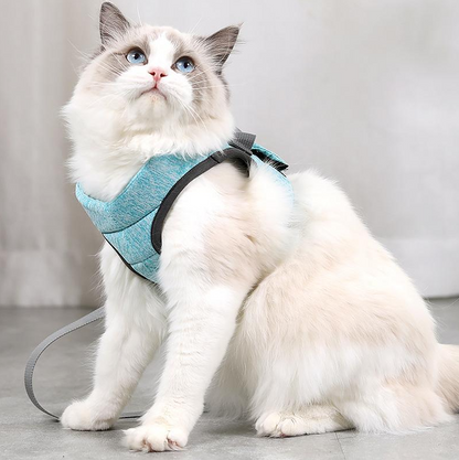 Katzen-Geschirr mit Leine
