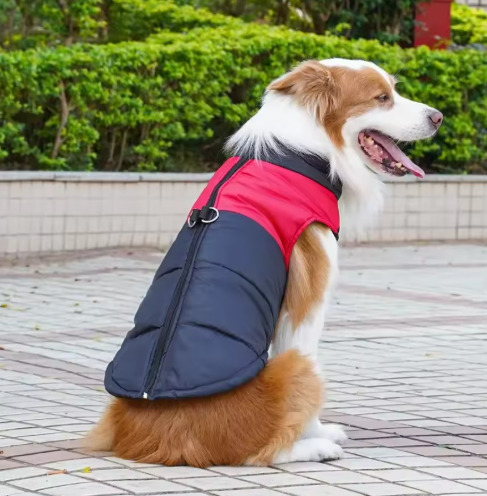 Wasserfeste Hundejacke für kaltes Wetter