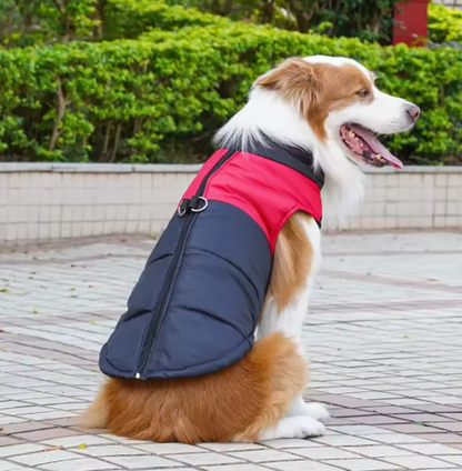 Wasserfeste Hundejacke für kaltes Wetter