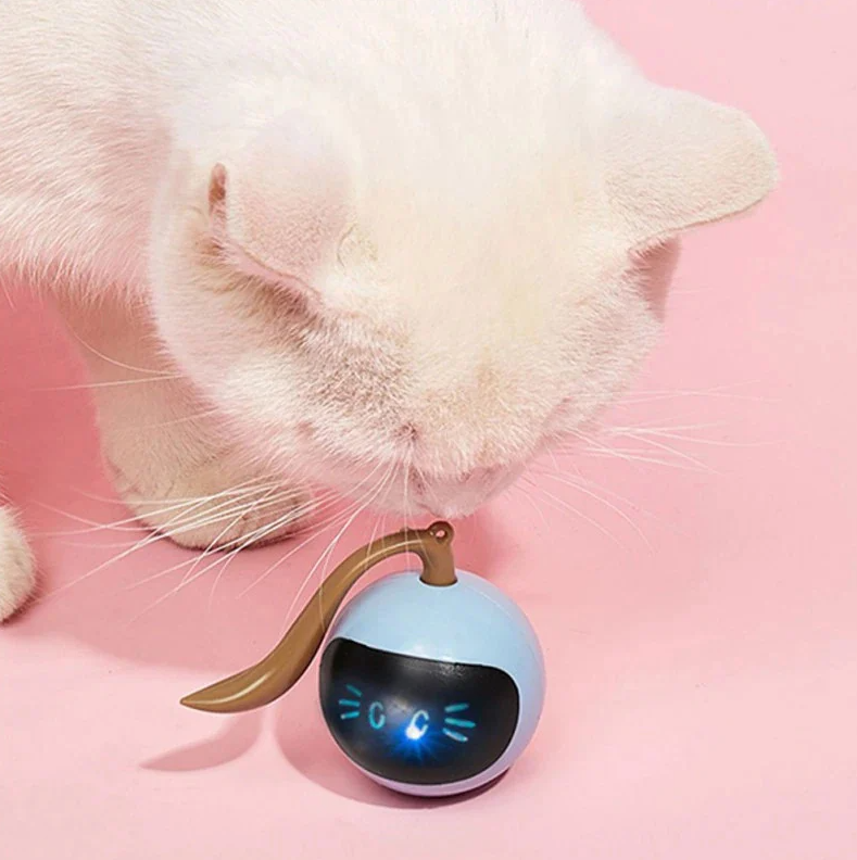 Interaktives Katzen-Spielzeug mit LED-Lichtern – Kugelförmiges Spielzeug für Katzen