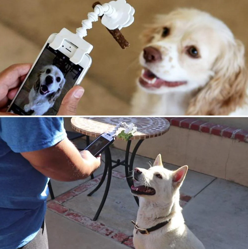 Haustier-Selfie-Stick mit Leckerli-Halter