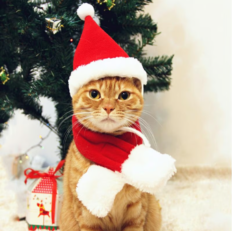 Weihnachtsmütze Mit Schal Für Haustiere
